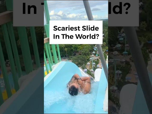 Scariest Slide In The World At Disney’s Blizzard Beach Water Park!