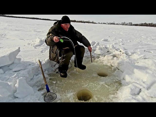 Закрытие зимнего сезона. Рыбалка на Амуре. Щука. Сиг