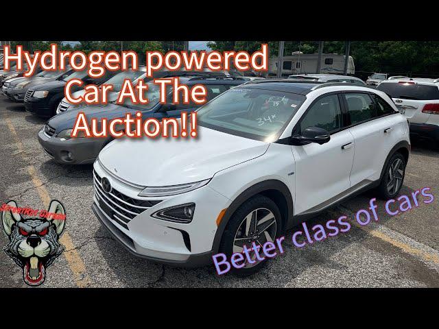 Public Auto Auction, Are they getting cheaper?