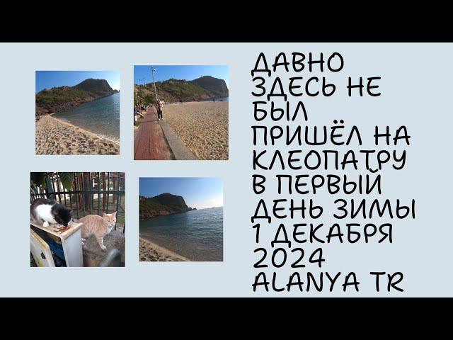 ALANYA ИДУ НА ПЛЯЖ КЛЕОПАТРЫ 1 ДЕКАБРЯ 2024 ROMKA ROKER