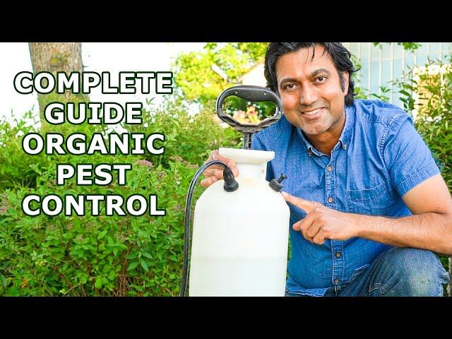 Pesticide Companies Don't Want You to Know These Secrets | Complete Guide to Organic Pest Control