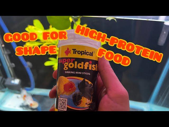 Best and cheap goldfish food for fancy goldfish