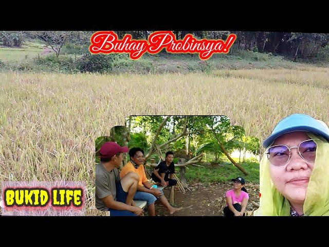 "Relaxing! Sa bukid! Probinsya Vlog 193 Buhay Probinsya Updates || Erlyn Go TV