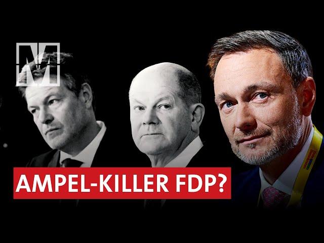 FDP schuld am Ampel-Aus? - MONITOR