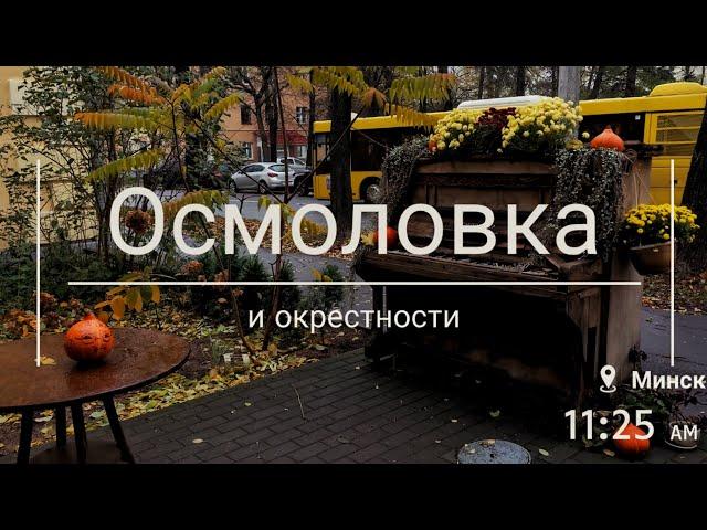 Осмоловка и окрестности