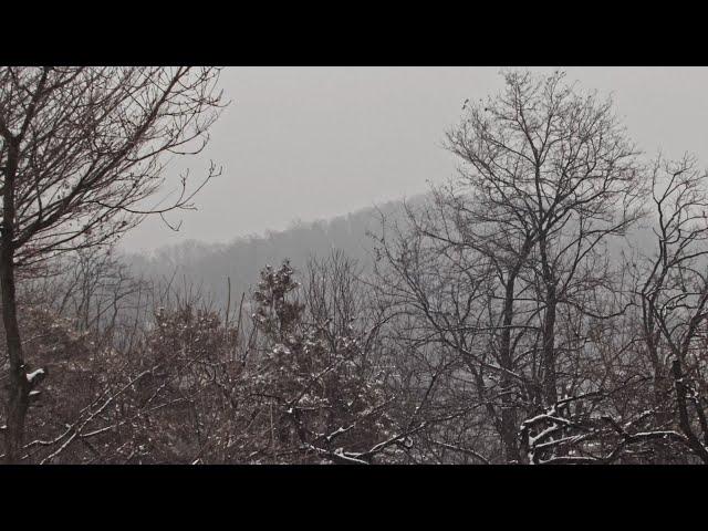 A scene that makes you feel at ease when you watch it. The sound of snow falling.‍️️️