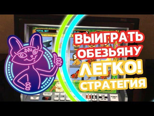 Выиграть в Crazy Monkey на Вулкане? Легко! Стратегия выирыша Димы