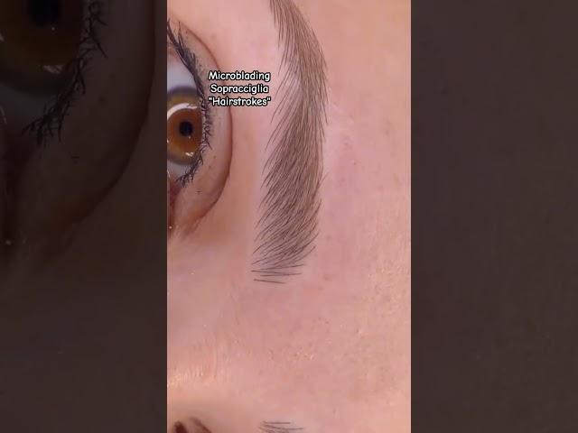 "Hairstrokes" Microblading Sopracciglia #hairstrokes #microblading #dermopigmentazione