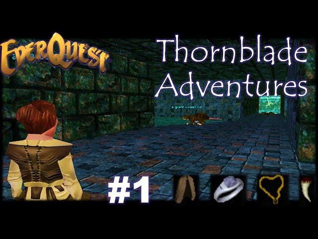 This Loot Is Broken | EverQuest Adventures #1