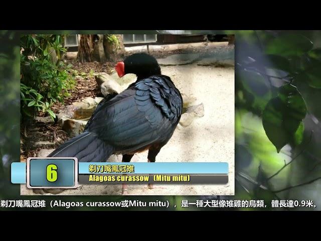 十個野外滅絕動物，只能在動物園裡看到