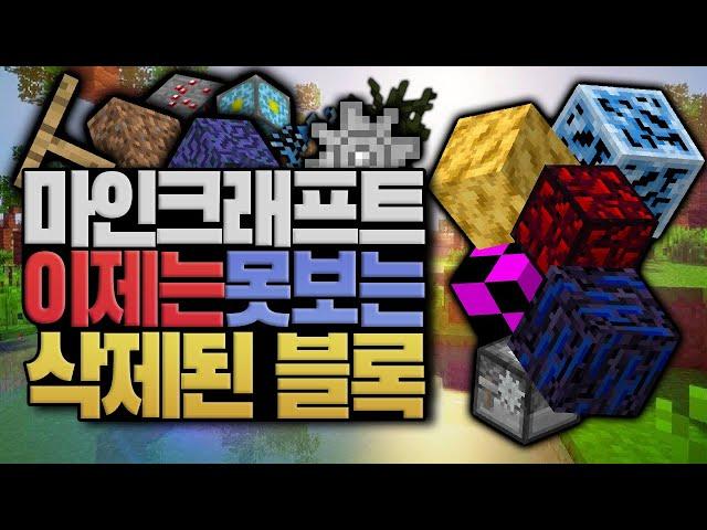 지금은 못보는 마크에서 삭제된 블록들 마인크래프트 (minecraft) [블루위키]