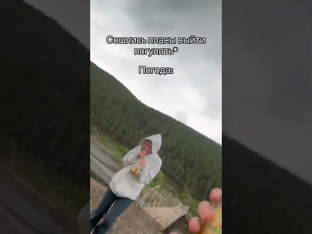 ТГК: АЛЕКСЕЙ АНДРЕЕВИЧ #рекомендации #мегарекомендации #киренкс#погода