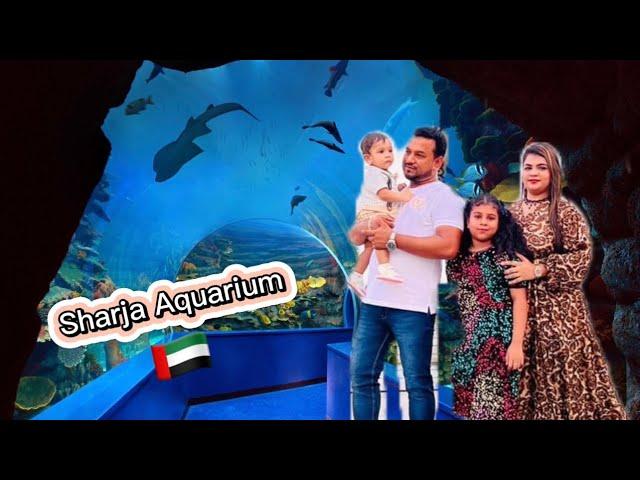 UAE Sharja Aquarium  #viralvideo #dubai #juisamivlog #fish #viralvlogs #ytshorts #foryou #insta