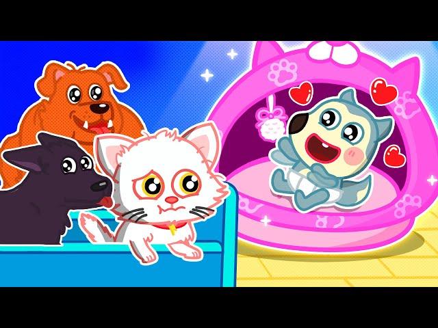 How to Take Care of Kitty Cats!  My Pet Song  Wolfoo Nursery Rhymes & Kids Songs