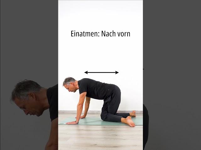 Piriformis dehnen - Mehr Hüftbeweglichkeit mit 1 Übung