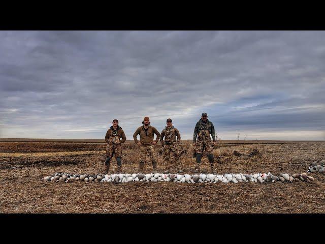 SOUTH DAKOTA SNOW GOOSE AND SPECK COMBO!! Bonus Ducks and Cacklers!