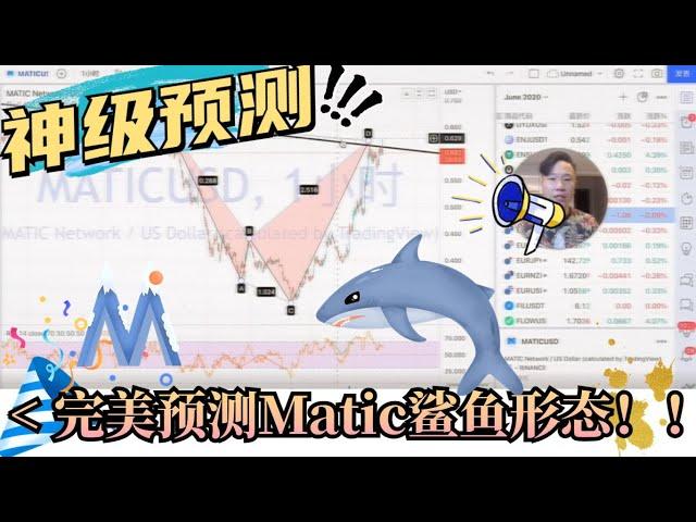 老铁神级预测之MATIC 鲨鱼形态