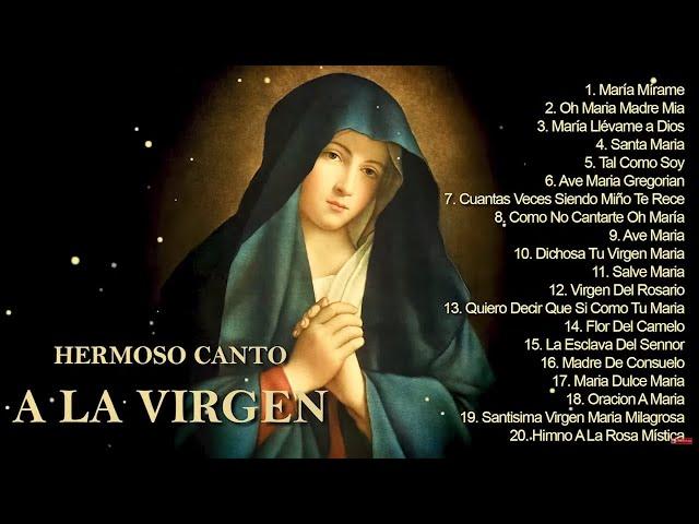 20 Mejores Canciones Alabando A Nuestra Madre || CANCIONES A LA VIRGEN MARIA