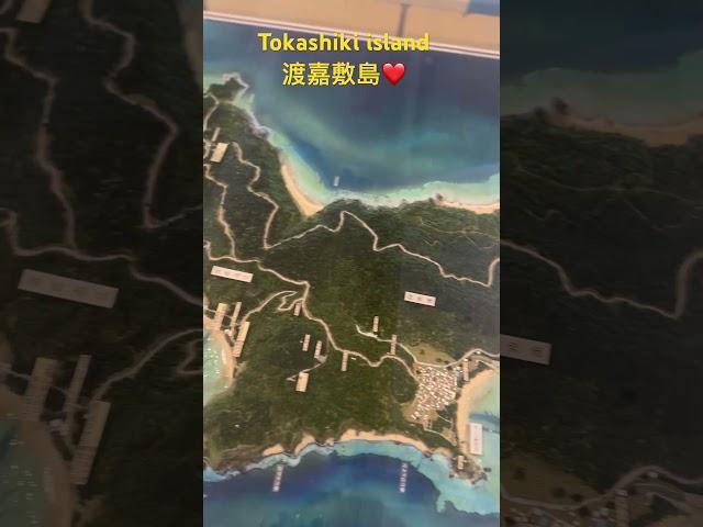 Tokashiki island 渡嘉敷島　#shorts #okinawa #viral