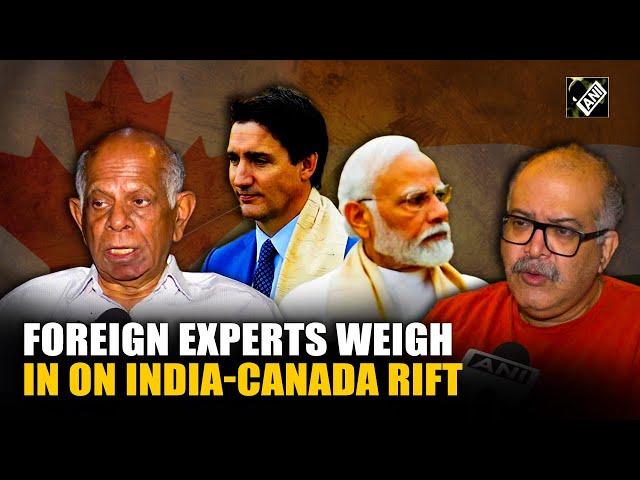 ‘Situation will not improve until…’ Foreign experts talk tough on India-Canada diplomatic row