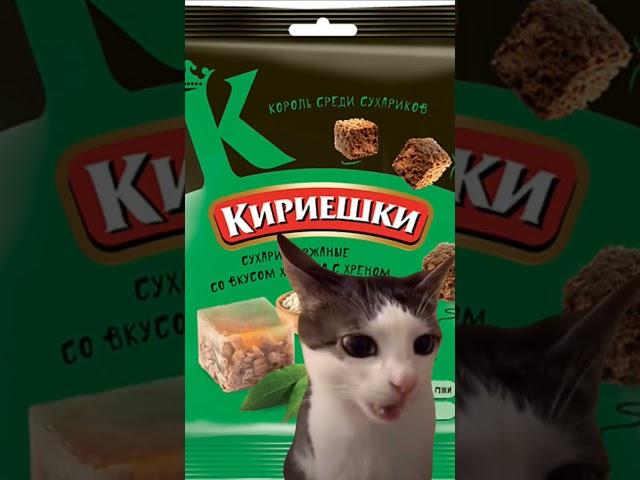 кот хрустит #котенок #хруст #мем #мемы #memes