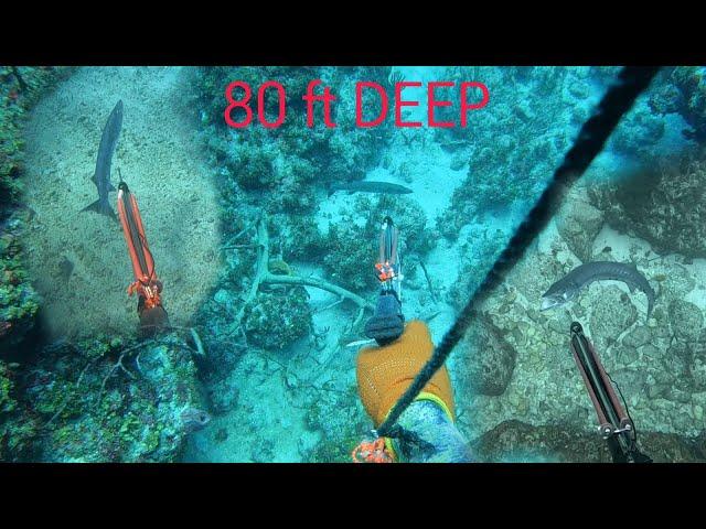 Line Fishing While Spearfishing  At The Same Time / Giant Barracuda Speared From A Small School