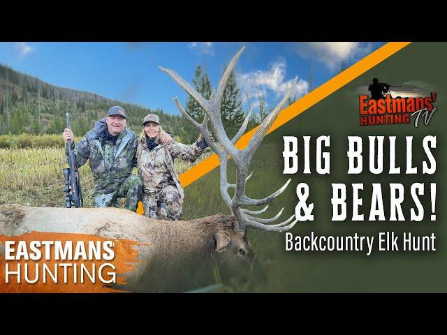 Big bull walks right to us! Backcountry Elk Hunt with Guy Eastman | Eastmans' Hunting TV