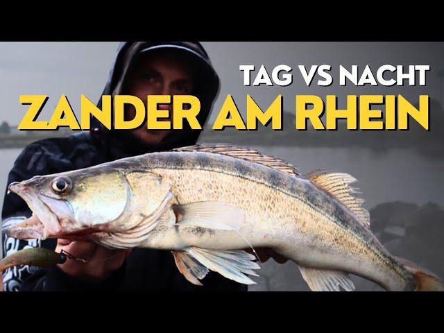 SO FÄNGST DU ZANDER! - Zanderangeln am Rhein 