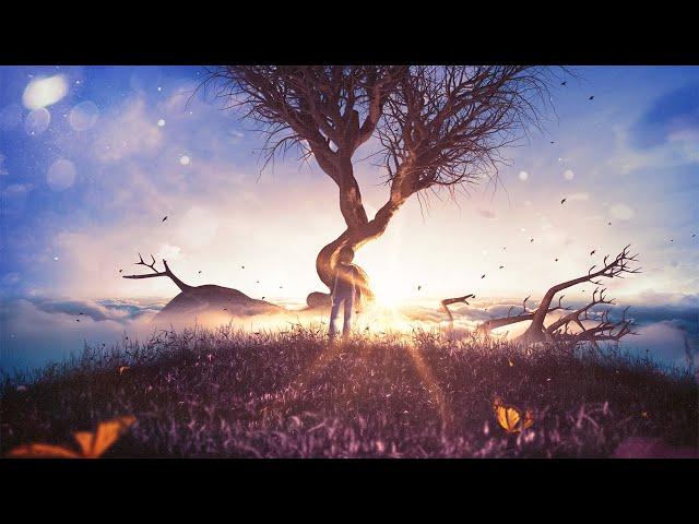 Sid Acharya - The Life Equation | Beautiful Emotional Atmospheric Music