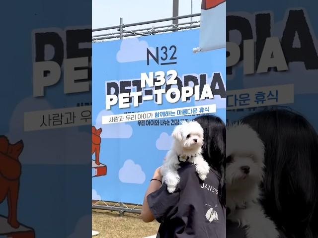 N32 PET-TOPIA