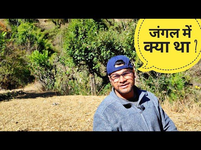 आज तो बाल-बाल बच गया || Pahadi lifestyle vlogs || Akki ke vlogs