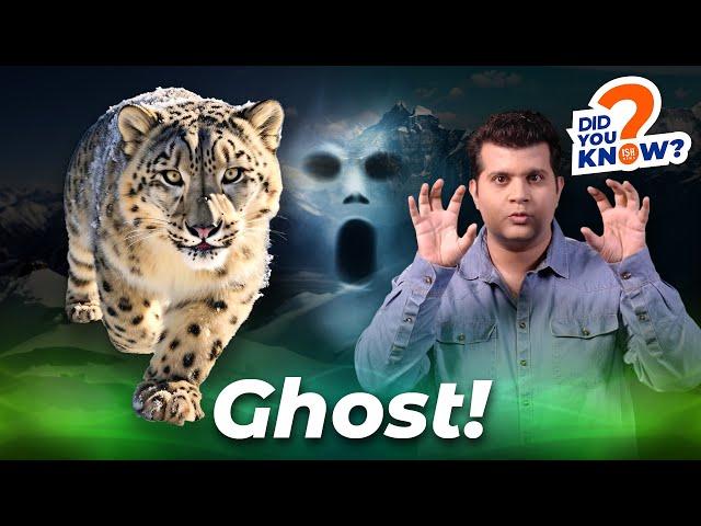 Snow Leopard: The Ghost of Mountains | ISH News