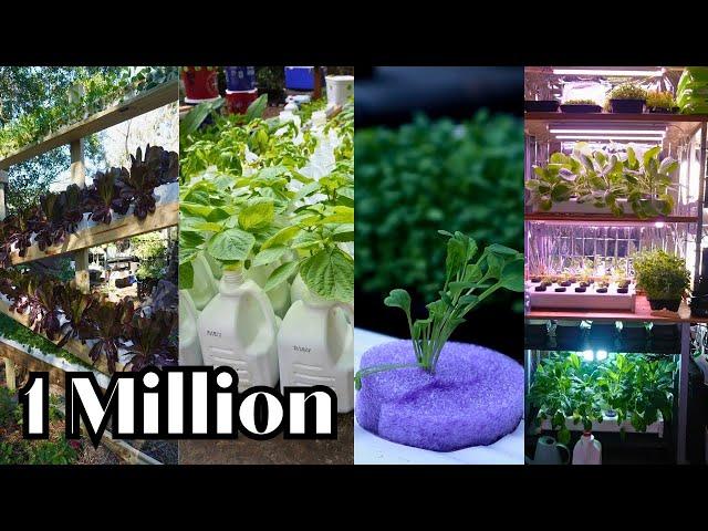 Hydroponics in 2024 with 1 Million Followers