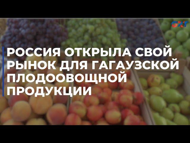 Россия открыла свой рынок для гагаузской плодоовощной продукции