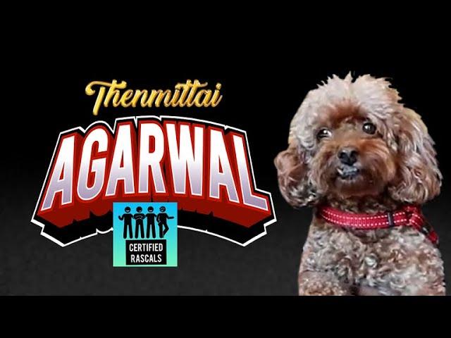 Thenmittai Agarwal | Certified Rascals