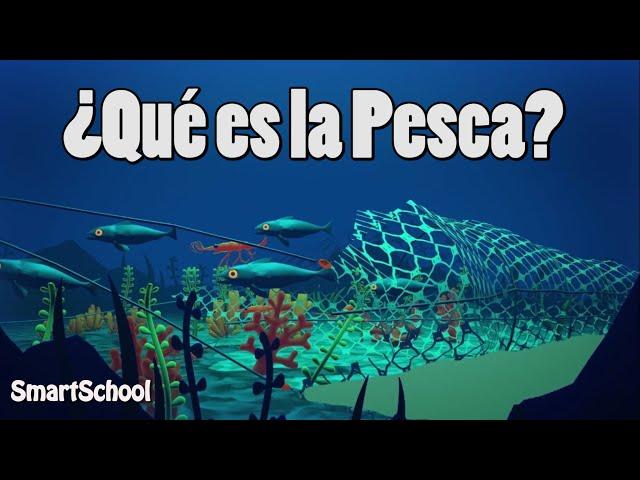 ¿Qué es la Pesca? | Vídeos educativos para Niños