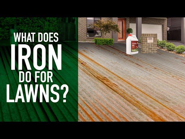 What does Iron do for lawns?