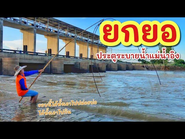 ยกยอ ปลากรายหลังเขื่อน ►Fishing lifestyle Ep.777