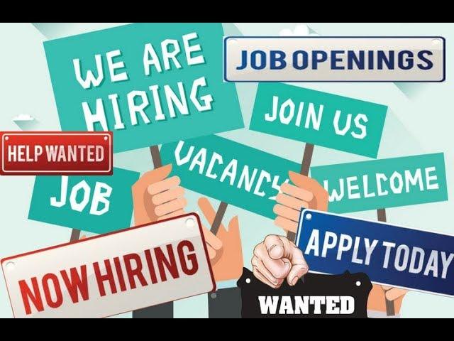 Shortage of Talented Developers Software Engineers | #CodingPhase
