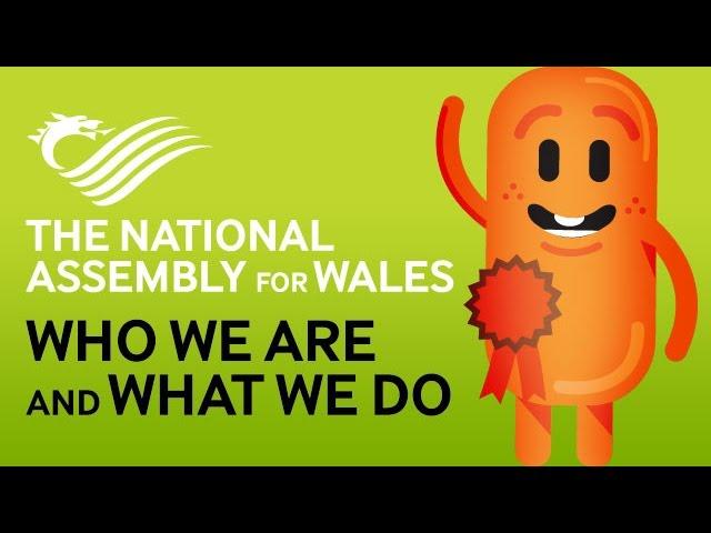 National Assembly for Wales   Who we are and what we do