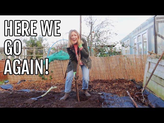 PLANTING BARE ROOT FRUIT BUSHES / ALLOTMENT GARDENING FOR BEGINNERS