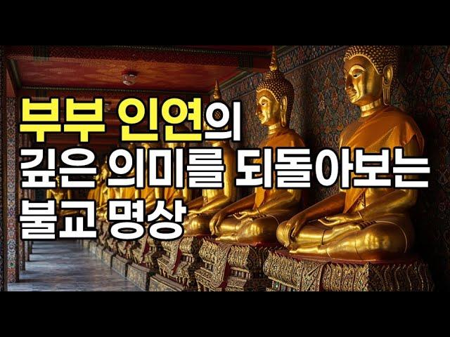 우연이 아닌 인연의 비밀을 아시나요? 지금 곁에 있는 사람과의 놀라운 연결고리!