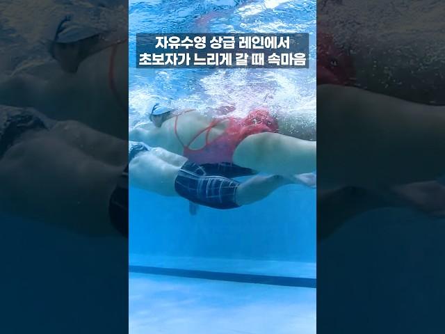 실력에 맞는 레인을 지키는 것이 매너!