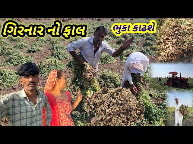 ગિરનાર ૪ ના વાઢ || village life