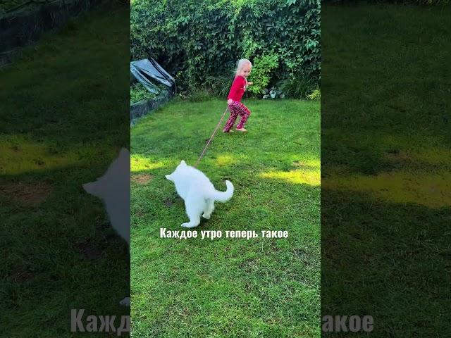  Помимо медитации, завтрака и прочего #семейныйвлог #щенок #щеноквсемье
