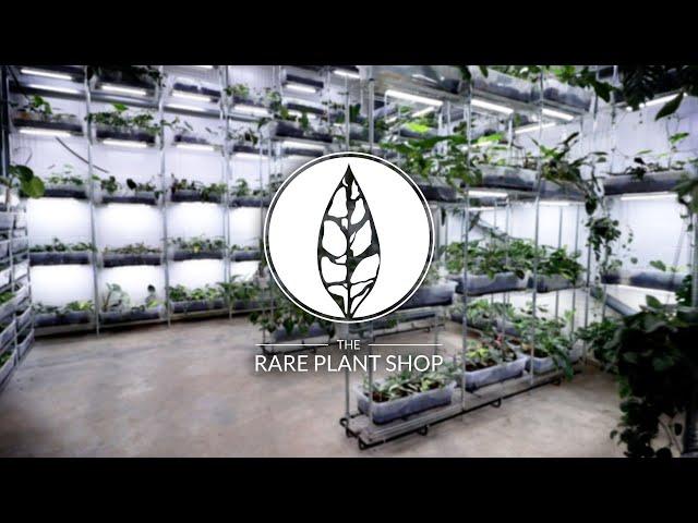 The NEW Rare Plant Shop Tour! | 6000+ RARE PLANTS