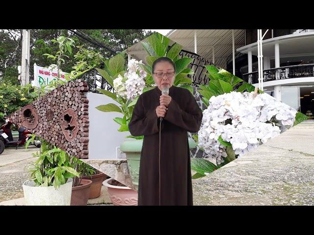 PGHH -  Thi Văn Giáo Lý -  Bài Cảm Tác