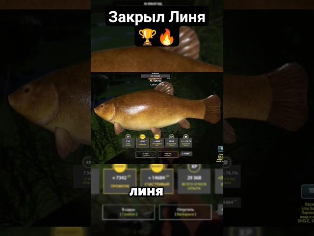Закрыл Линя, трофейСтарый Острог | Русская рыбалка 4 #shorts #рр4 #рыбалка