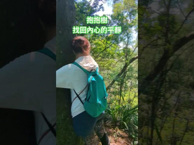 大自然的療癒，樹療，抱抱樹，找回內心的平靜#放鬆 #引導放鬆 #療癒 #樹木 #大自然 #平靜