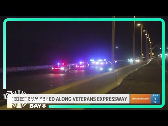 Police: Man hit, killed by car while walking along Veterans Expressway near TPA